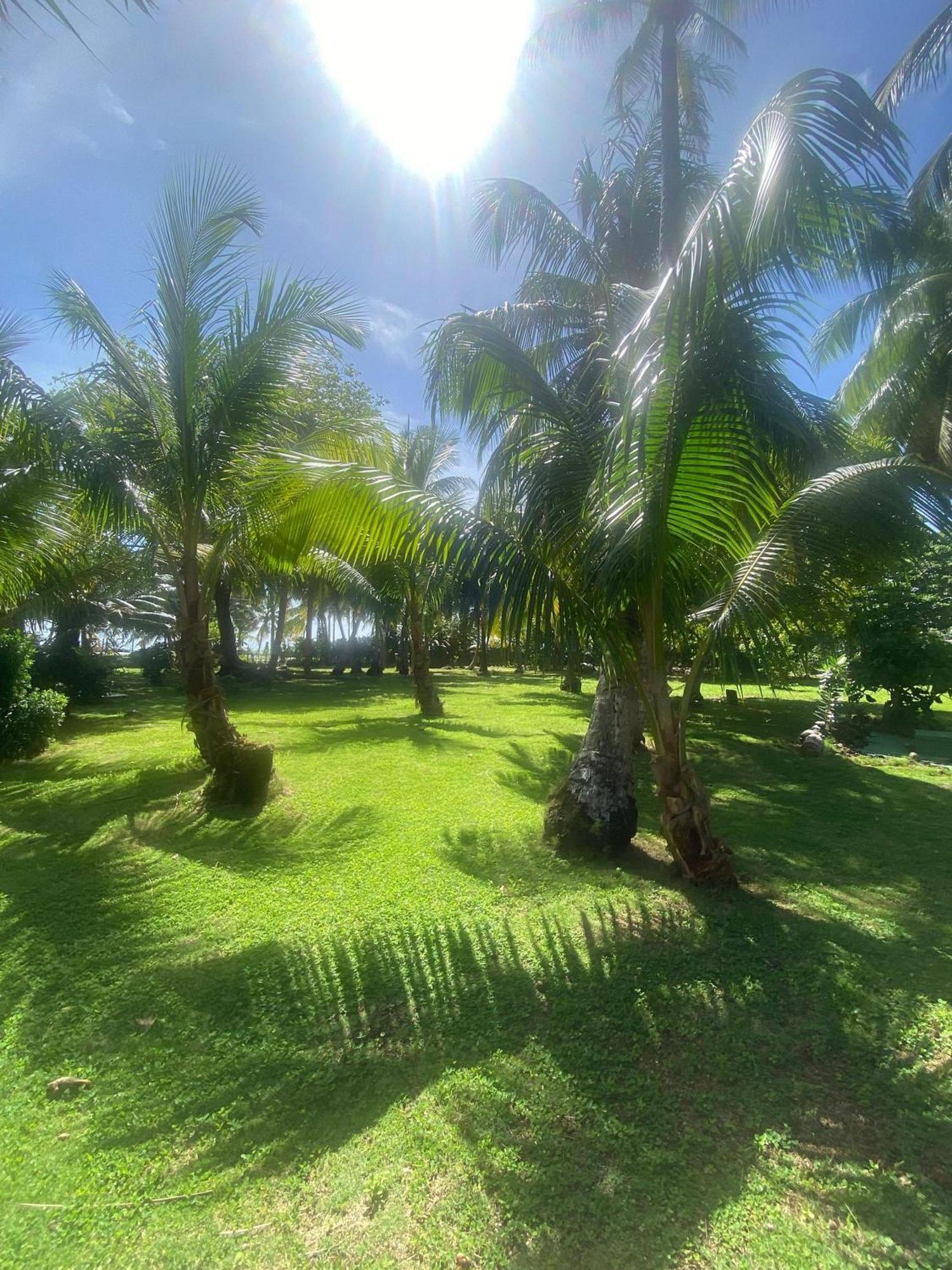 Apartment South End - Colombian Caribbean *